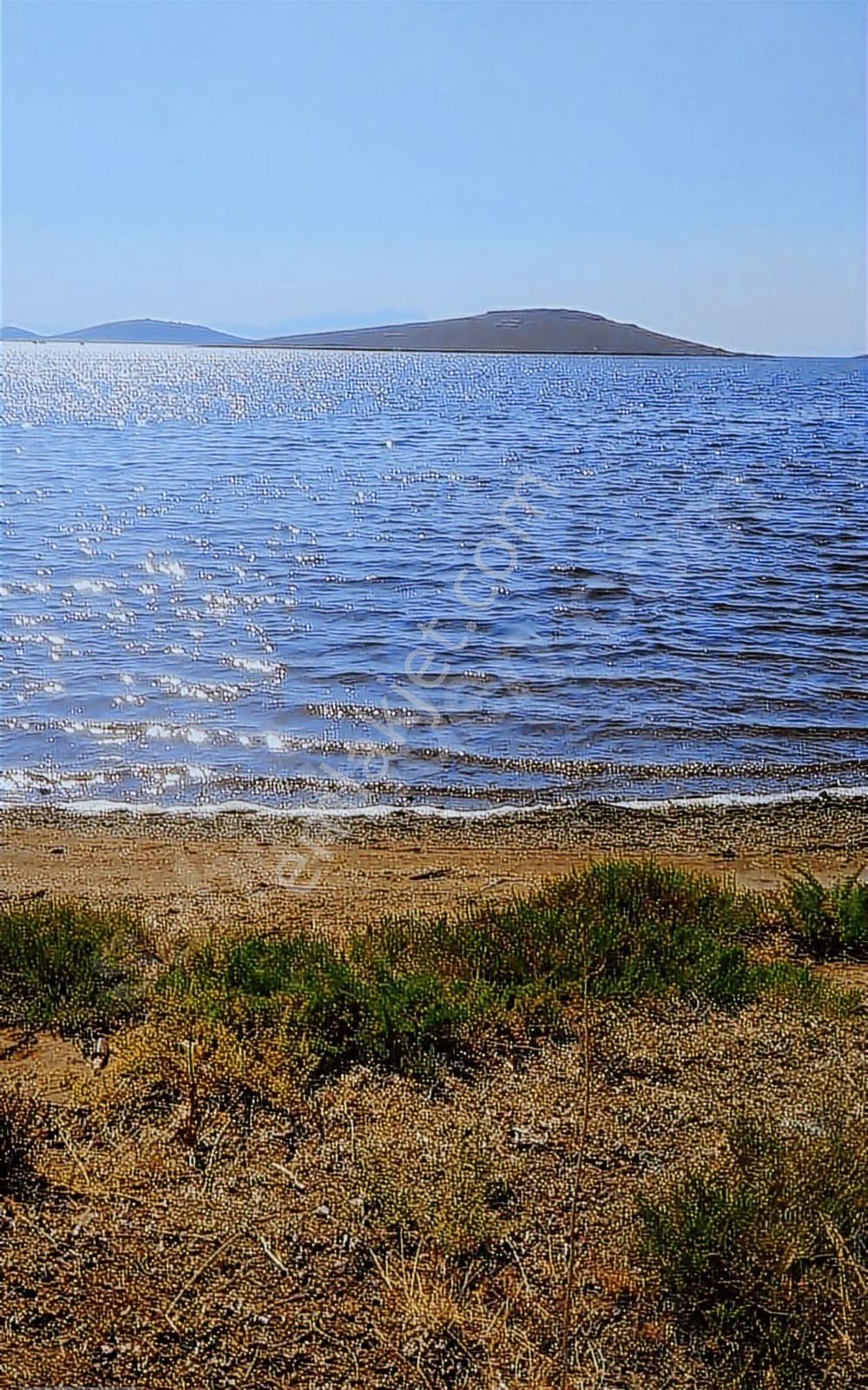 Balıkesir Ayvalık Cunda Adası Zeytinlik Fırsatı! - Görsel 20