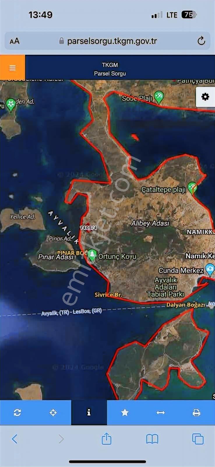 Balıkesir Ayvalık Cunda Adası Zeytinlik Fırsatı! - Görsel 11