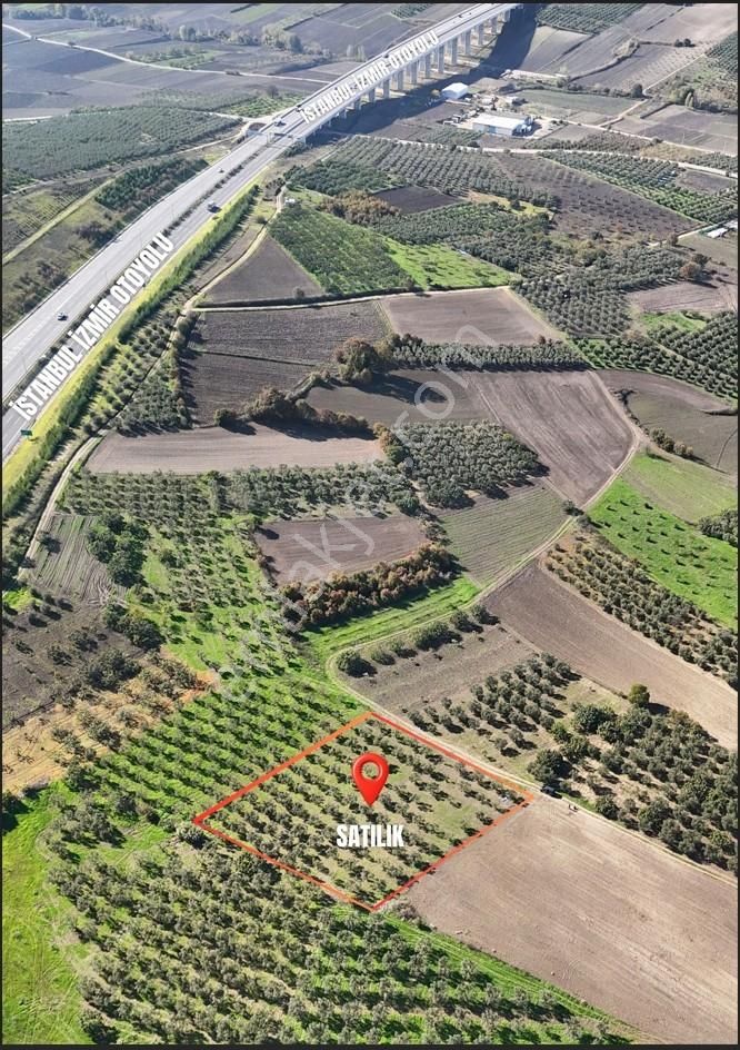 Bursa / Nılüfer / Büyük Balıklı - 9.100.000 Tl-4.300 M² - Görsel 3