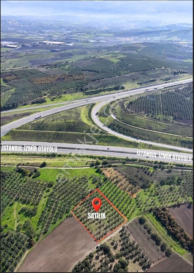 Bursa / Nılüfer / Büyük Balıklı - 9.100.000 Tl-4.300 M² - Görsel 7