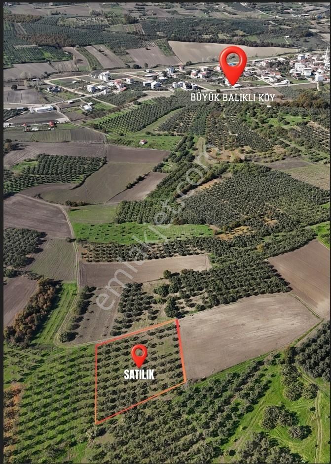 Bursa / Nılüfer / Büyük Balıklı - 9.100.000 Tl-4.300 M² - Görsel 6