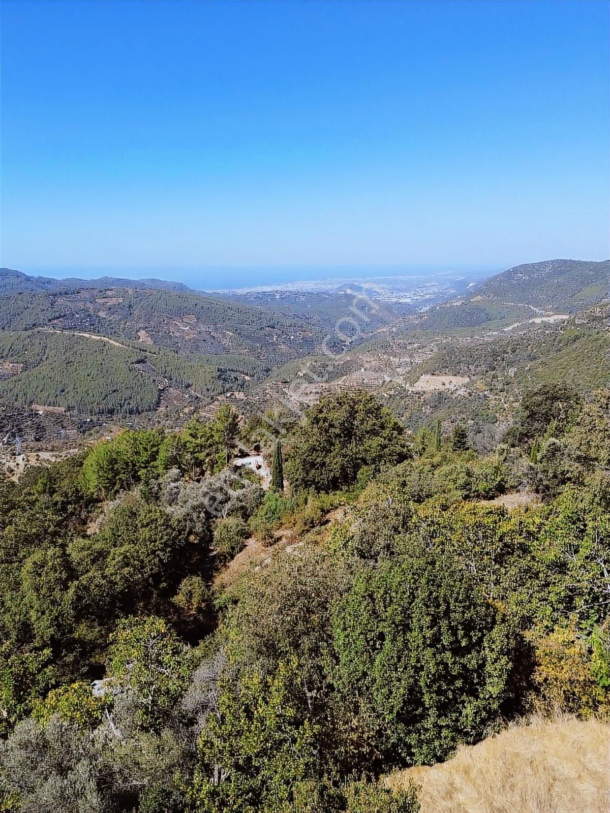 Emlakparktan Mahmutseydıde Manzaralı 425m2 Tarla Ve Ikı Kat Ev - Görsel 30