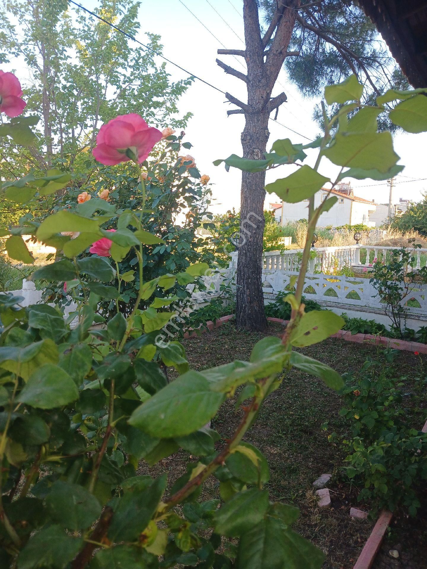 Tekirdağ Yeniçiftlik Satılık Müstakil - Görsel 22