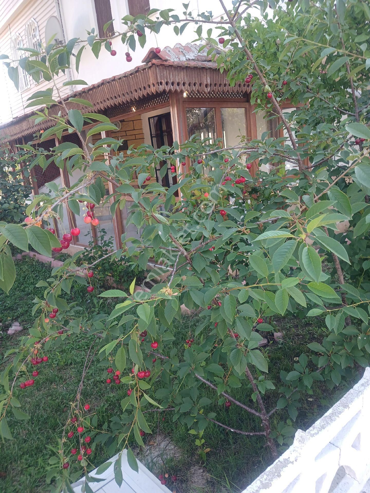 Tekirdağ Yeniçiftlik Satılık Müstakil - Görsel 3