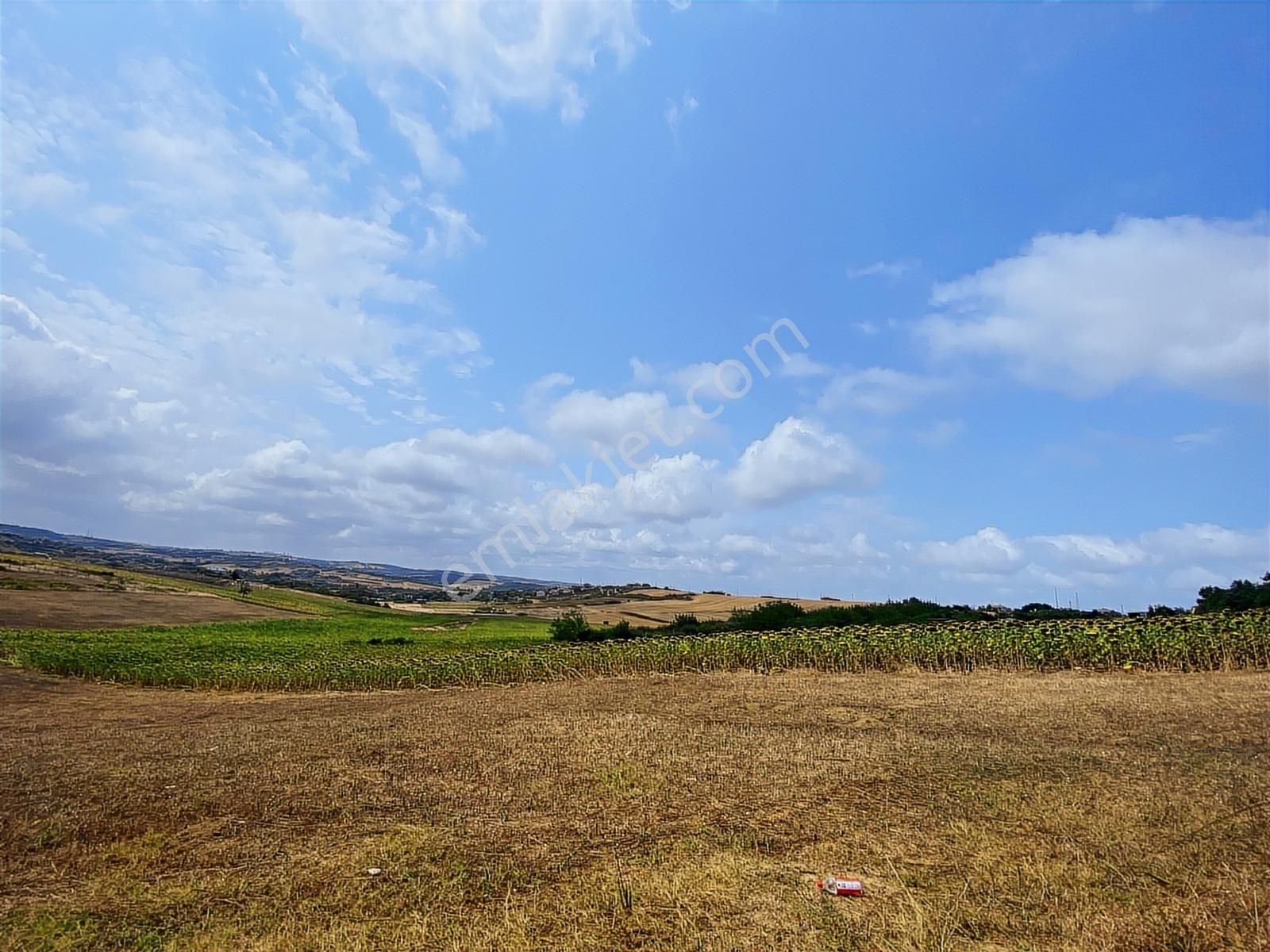 Arnavutköy Yeniköy'de Satılık 1261 Mt2 Tarla - Görsel 18