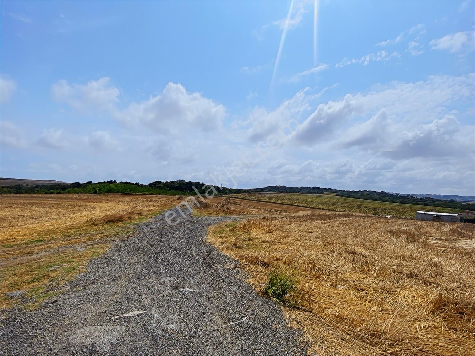 Arnavutköy Yeniköy'de Satılık 1261 Mt2 Tarla - Görsel 22