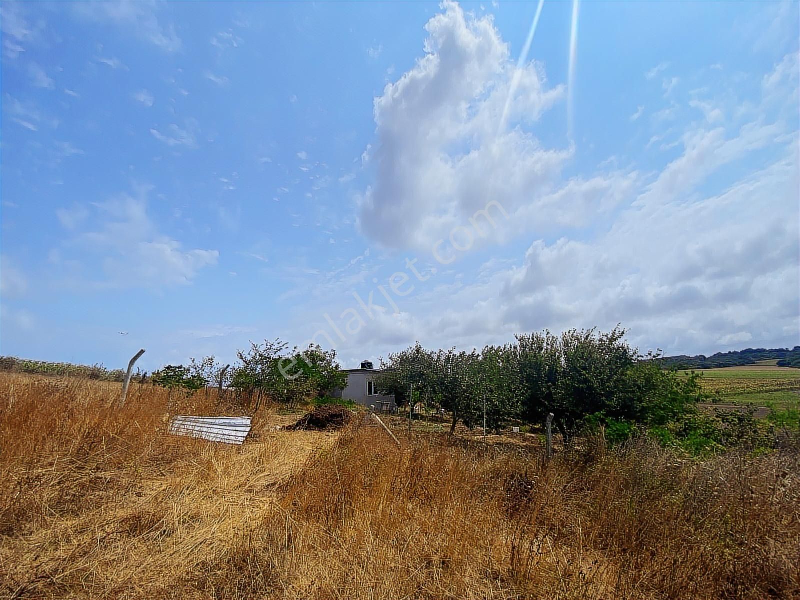 Arnavutköy Yeniköy'de Satılık 1261 Mt2 Tarla - Görsel 11