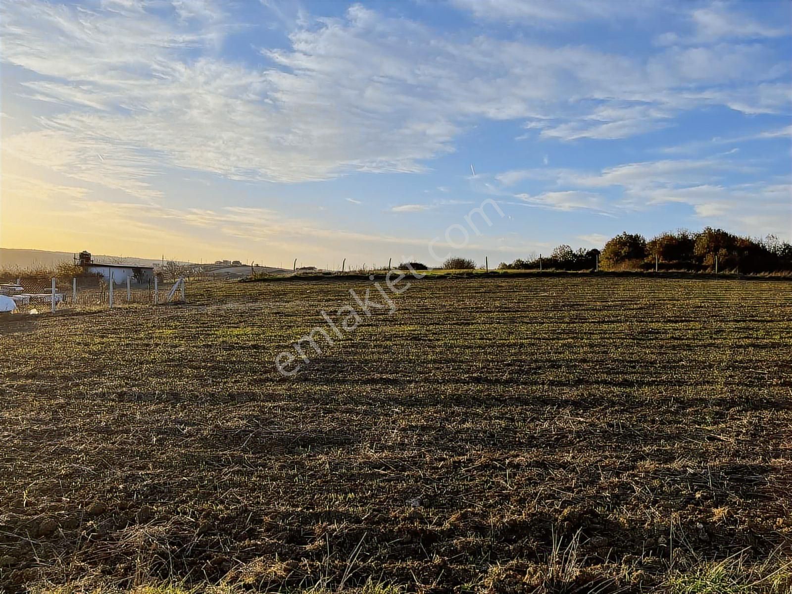 Arnavutköy Yeniköy'de Satılık 1261 Mt2 Tarla - Görsel 24