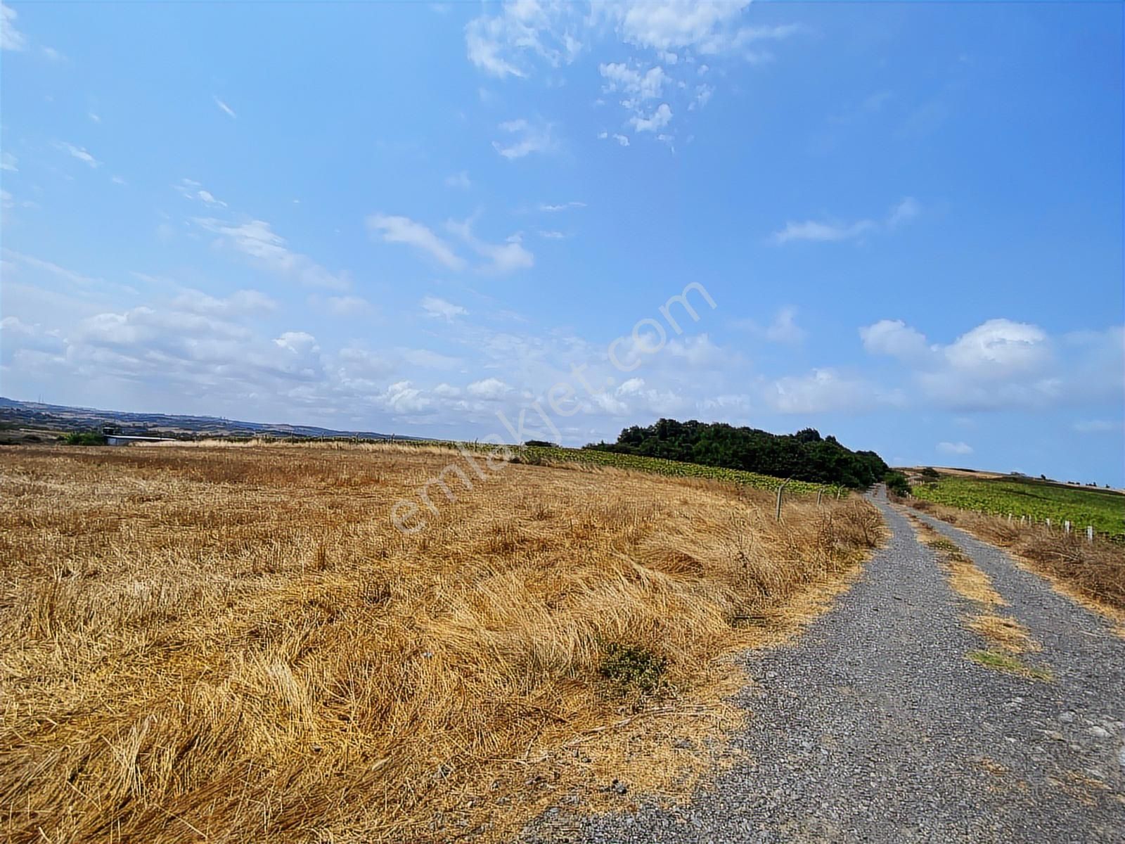 Arnavutköy Yeniköy'de Satılık 1261 Mt2 Tarla - Görsel 20