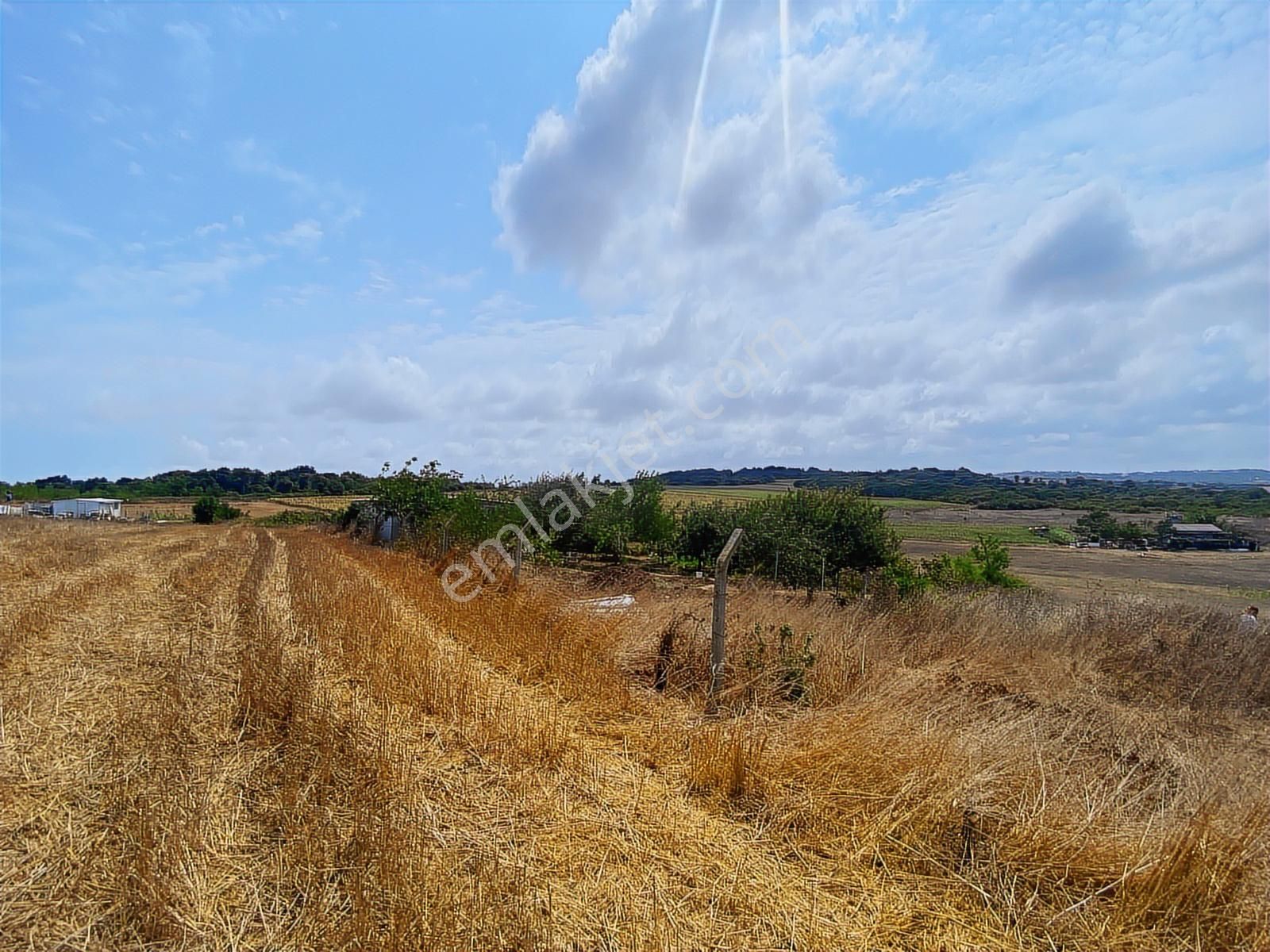 Arnavutköy Yeniköy'de Satılık 1261 Mt2 Tarla - Görsel 17