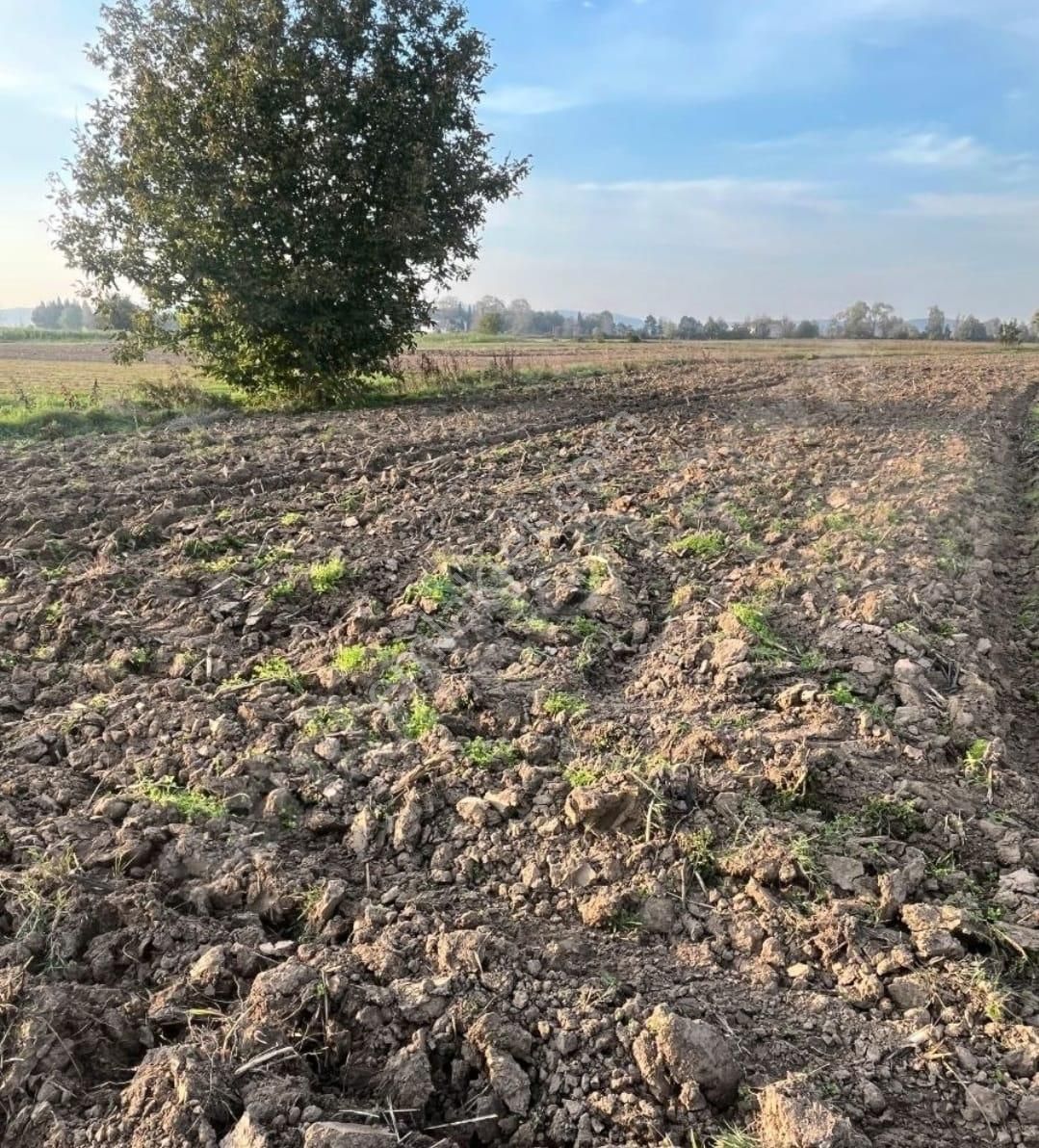 Sakarya Adapazarı Abalı Köyün,de Yatırımlık Fırsat Arazi Yol U Mevcut - Görsel 3