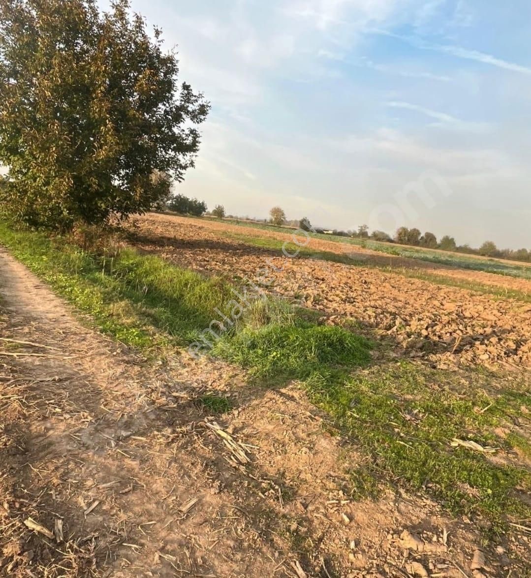 Sakarya Adapazarı Abalı Köyün,de Yatırımlık Fırsat Arazi Yol U Mevcut - Görsel 4