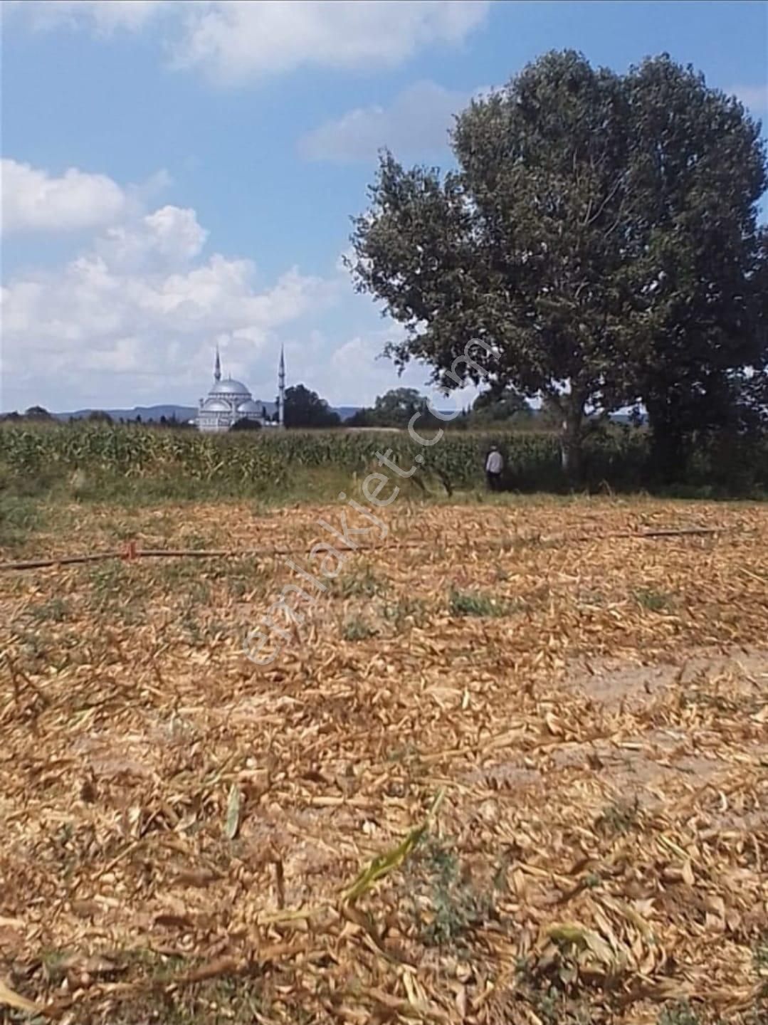 Sakarya Adapazarı Abalı Köyün,de Yatırımlık Fırsat Arazi Yol U Mevcut