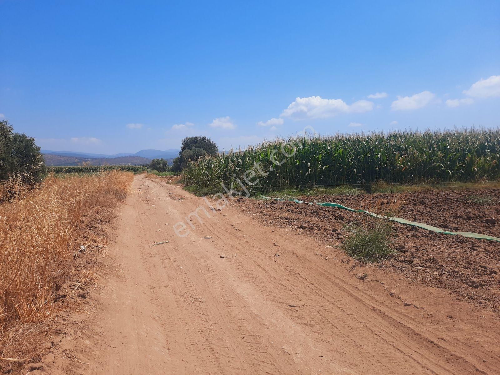 Bodrum Milas Karayolu Üzeri Ağaçlıhüyük Köyünde 4155 M² Tarla - Görsel 25