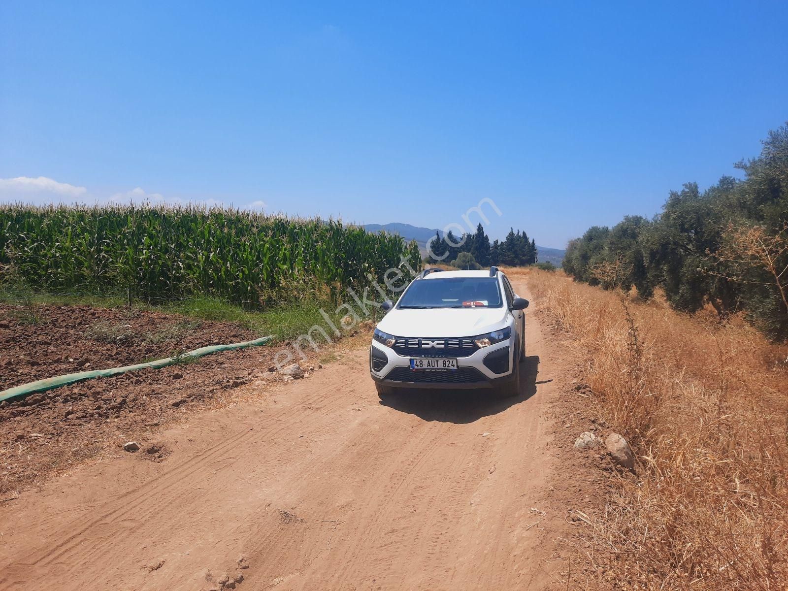 Bodrum Milas Karayolu Üzeri Ağaçlıhüyük Köyünde 4155 M² Tarla - Görsel 30