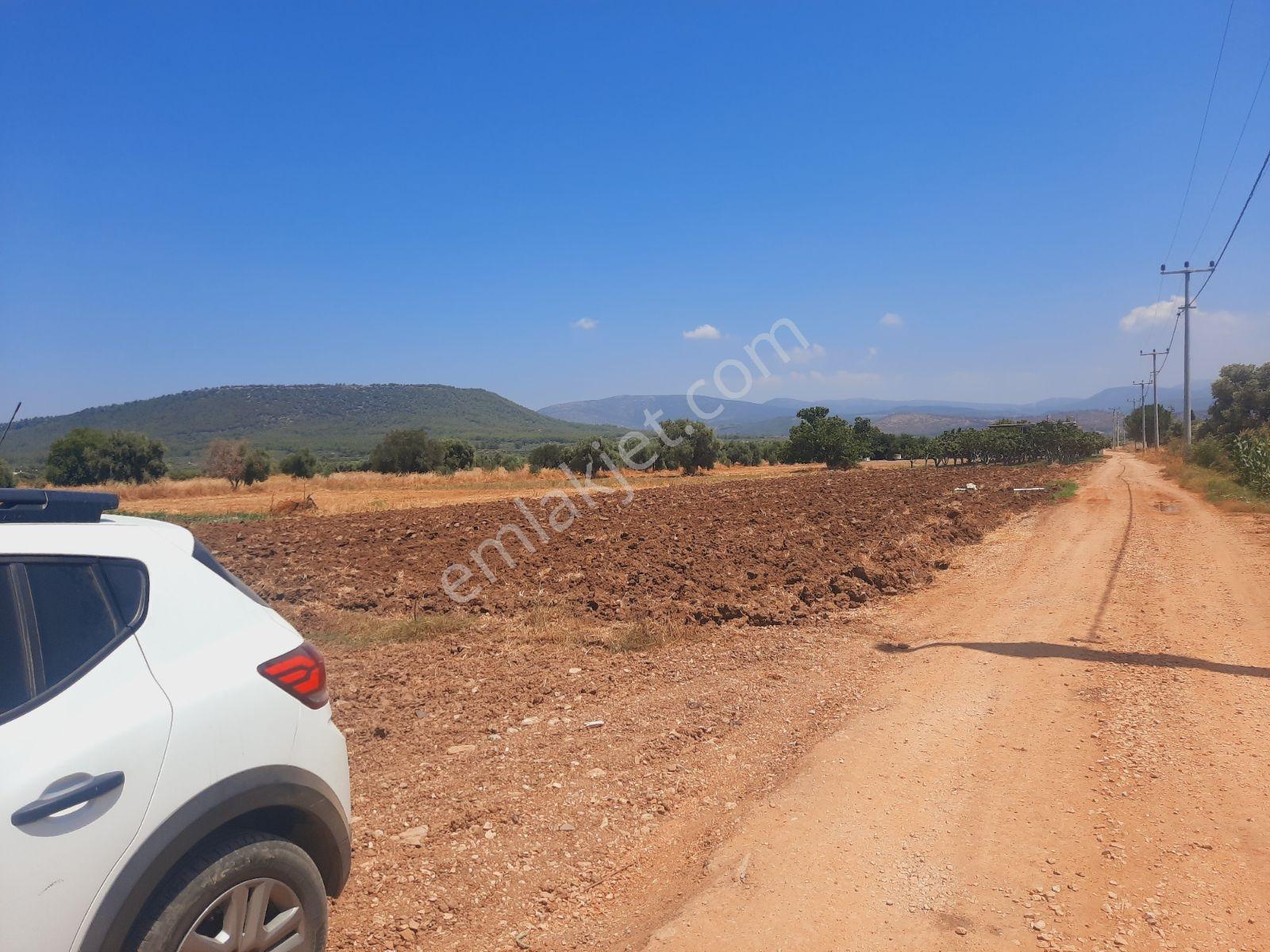 Bodrum Milas Karayolu Üzeri Ağaçlıhüyük Köyünde 4155 M² Tarla - Görsel 10