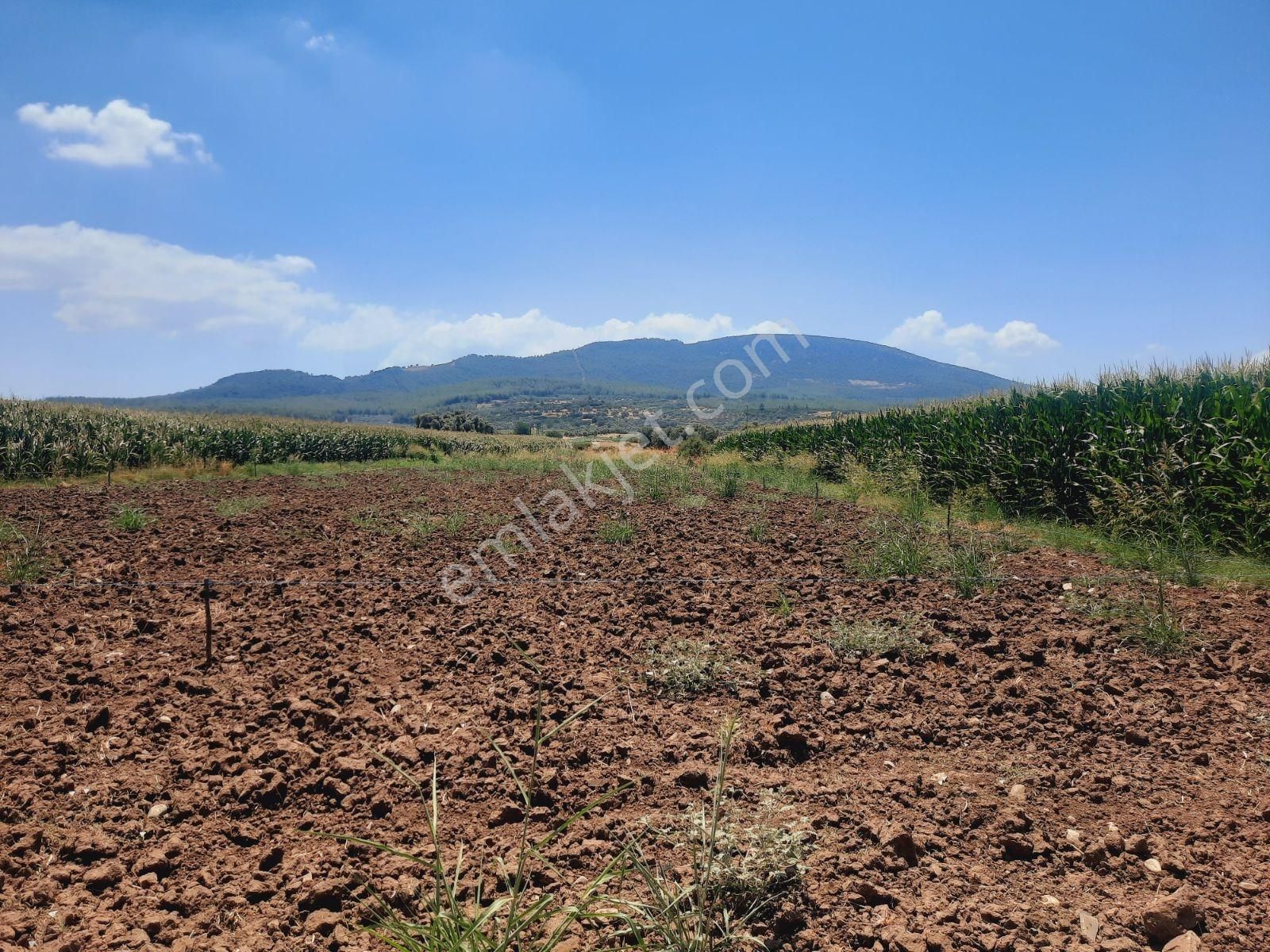 Bodrum Milas Karayolu Üzeri Ağaçlıhüyük Köyünde 4155 M² Tarla - Görsel 26