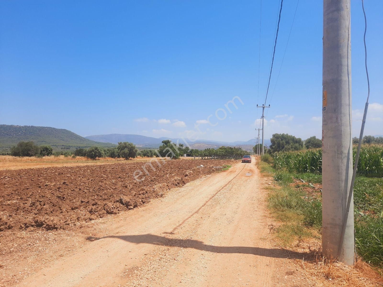 Bodrum Milas Karayolu Üzeri Ağaçlıhüyük Köyünde 4155 M² Tarla - Görsel 4