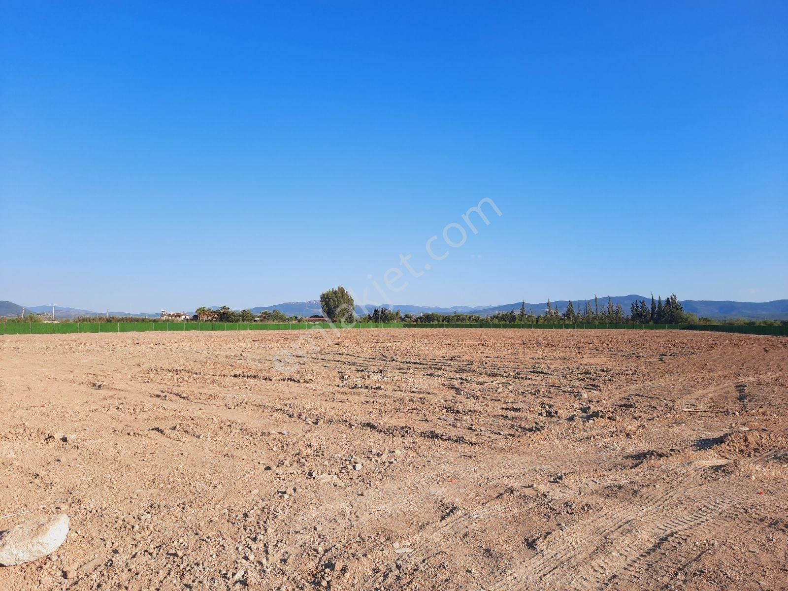 Bodrum Doğa Yaşam Kooperatif Ten 400 M² Milas Avşar Da Tarla - Görsel 9