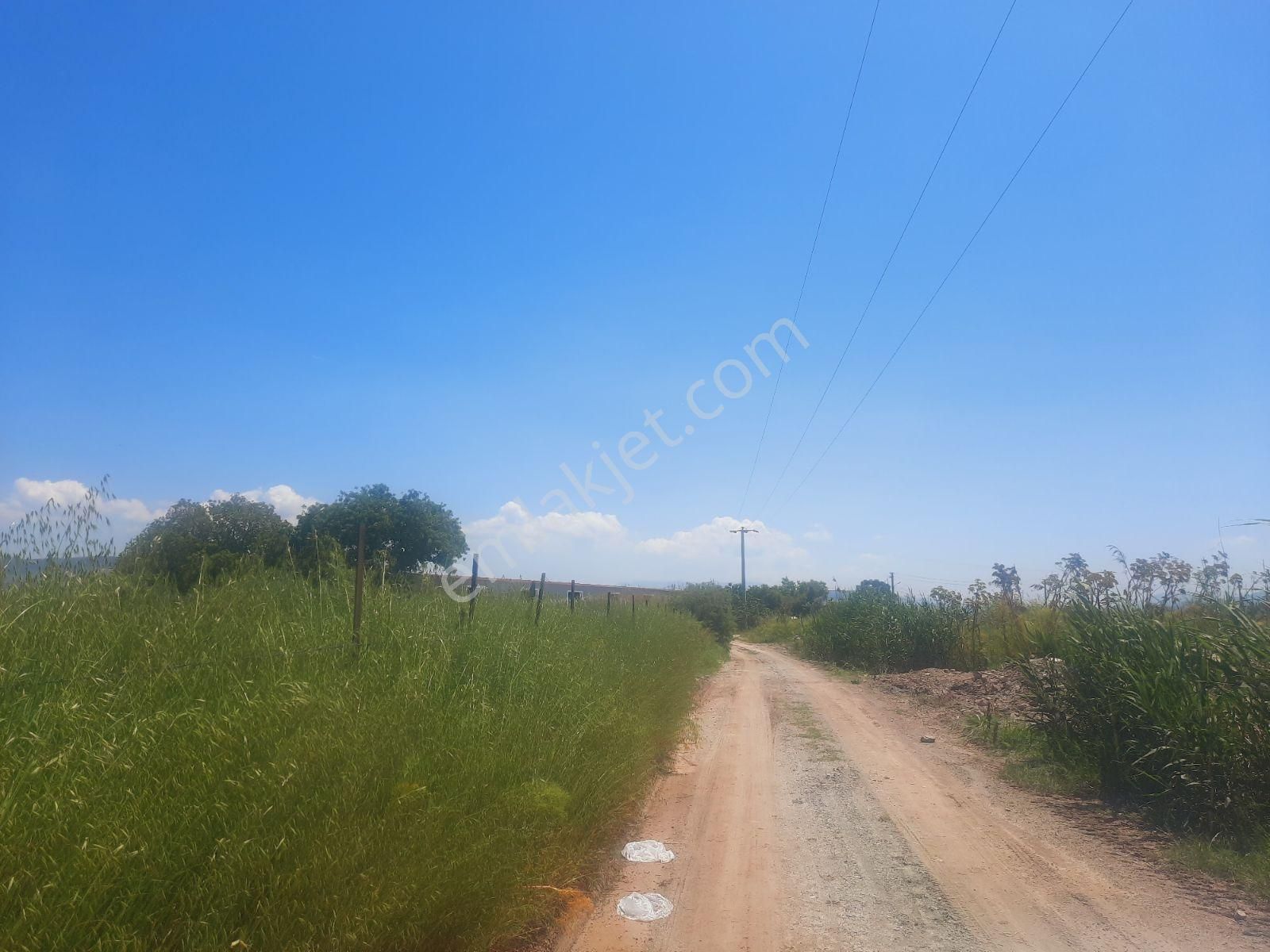 Bodrum Doğa Yaşam Kooperatif Ten 400 M² Milas Avşar Da Tarla - Görsel 2