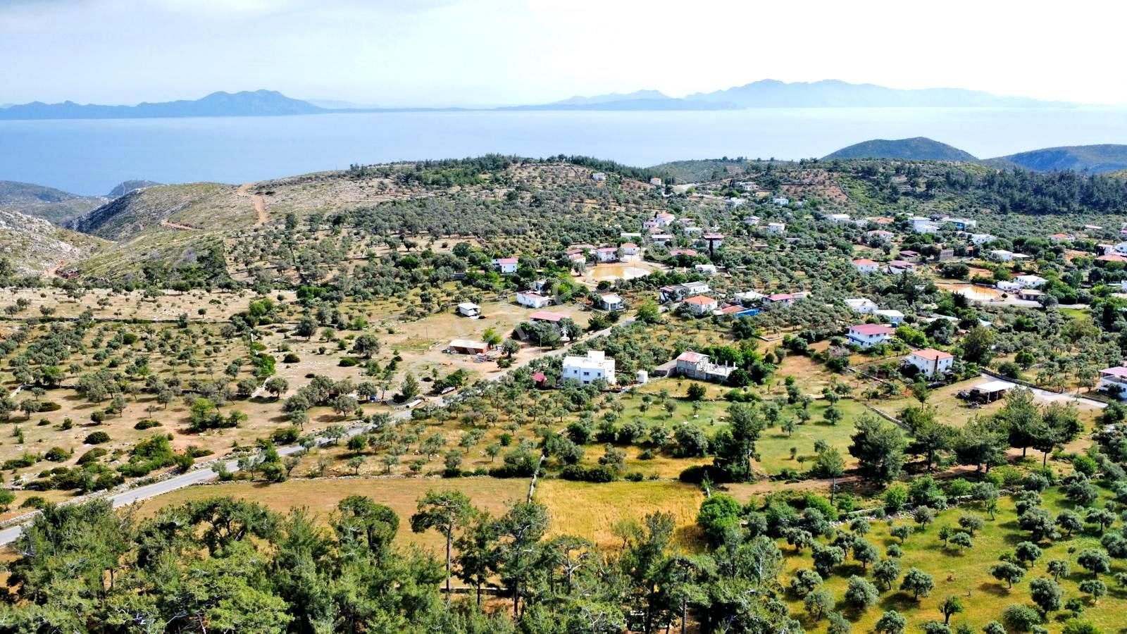 Bodrum Mazı Köy İçi Yol Cepheli Satılık Arazi - Görsel 10