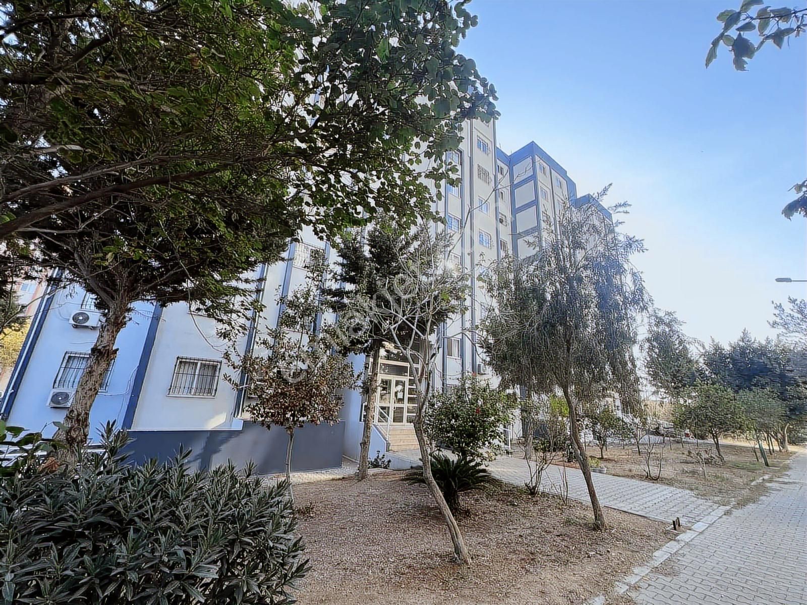 Şambayad Toki'de 3+1 Geniş Oturumlu Güney-kuzey Cephe Cazip - Görsel 22