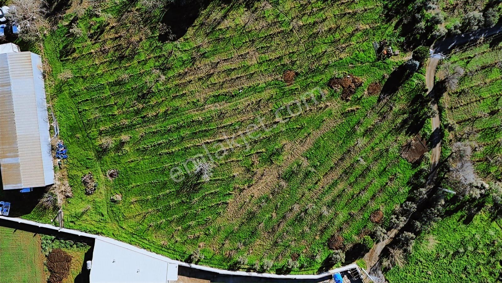 Kemalpaşa Merkez Dsi Yakını Satılık 10042 M2 Arazi - Görsel 10