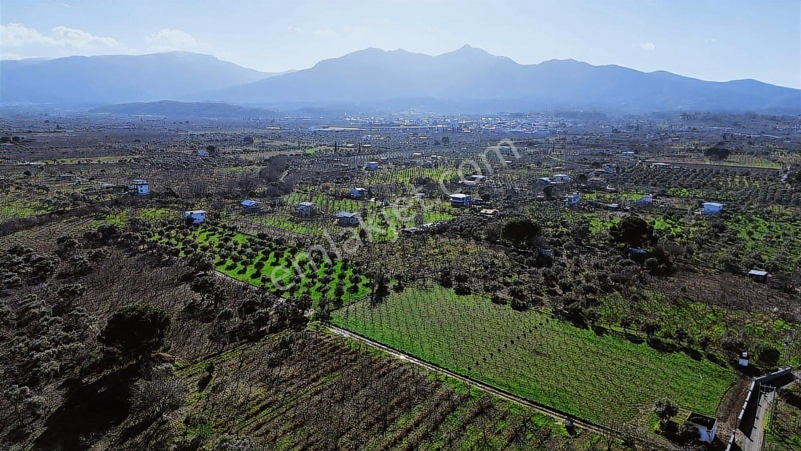 Kemalpaşa Merkez Dsi Yakını Satılık 10042 M2 Arazi - Görsel 3