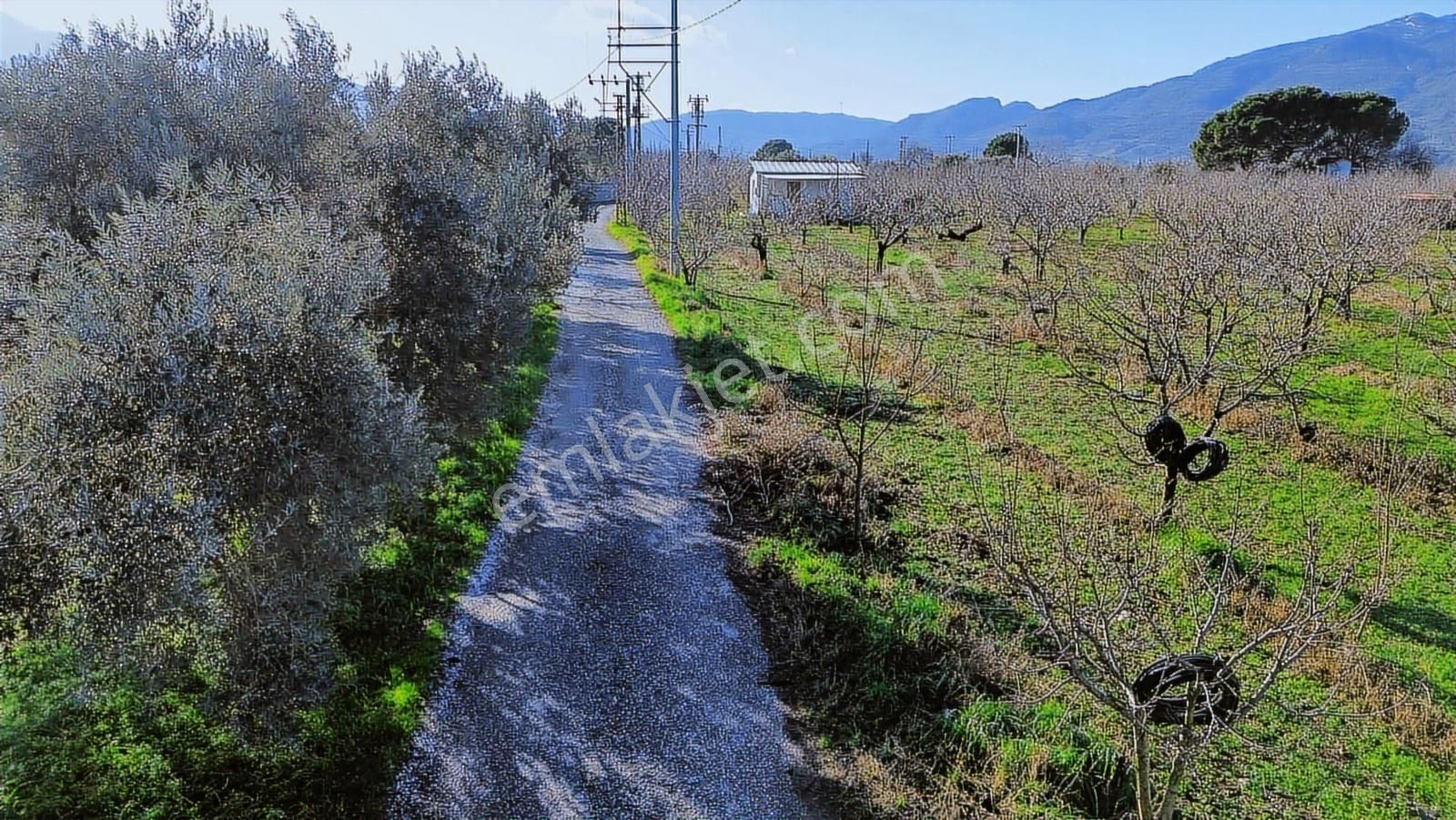 Kemalpaşa Merkez Dsi Yakını Satılık 10042 M2 Arazi - Görsel 4