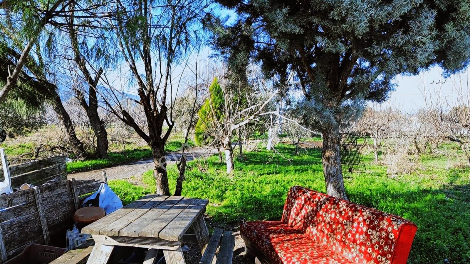 Kemalpaşa Merkez Dsi Yakını Satılık 10042 M2 Arazi - Görsel 8