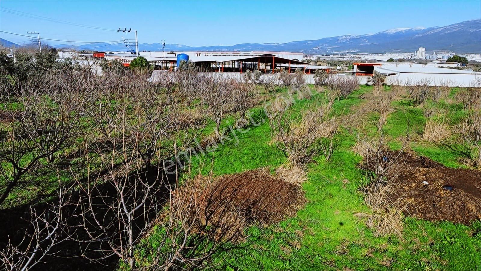 Kemalpaşa Merkez Dsi Yakını Satılık 10042 M2 Arazi - Görsel 16