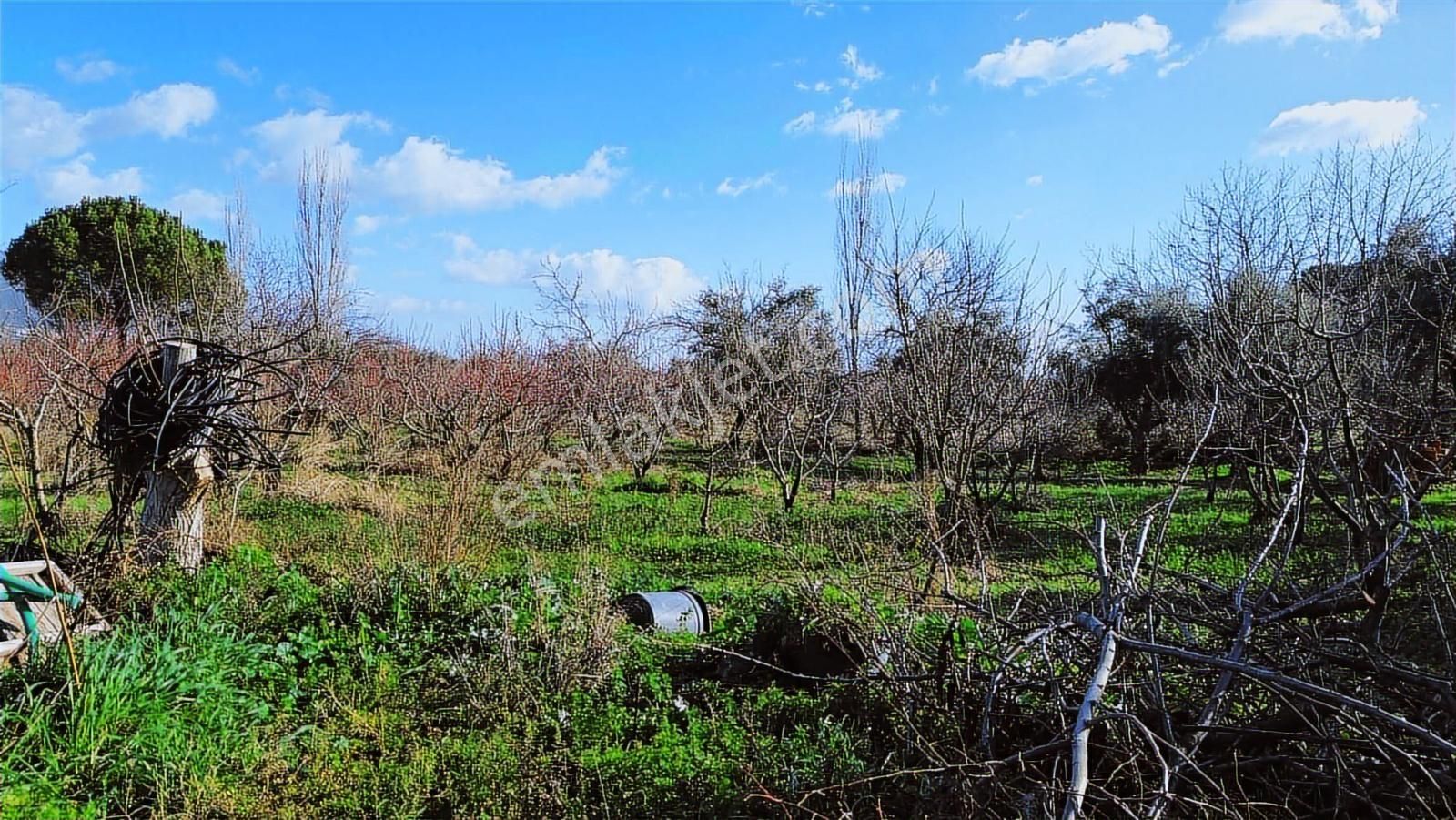 Kemalpaşa Merkez Dsi Yakını Satılık 10042 M2 Arazi - Görsel 9