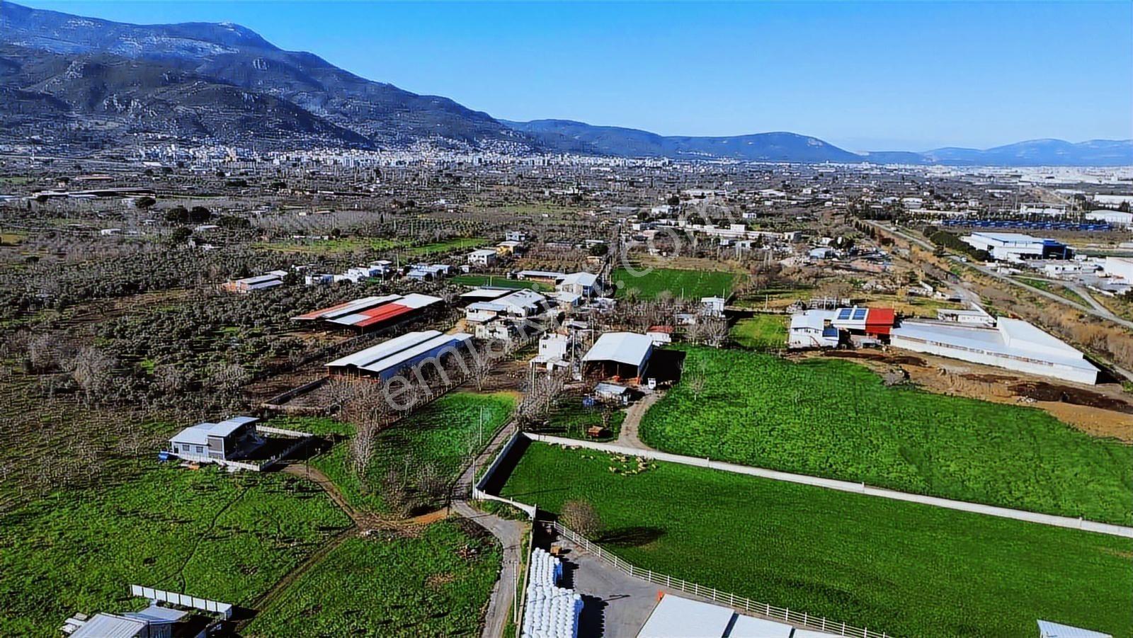 Kemalpaşa Merkez Dsi Yakını Satılık 10042 M2 Arazi - Görsel 16