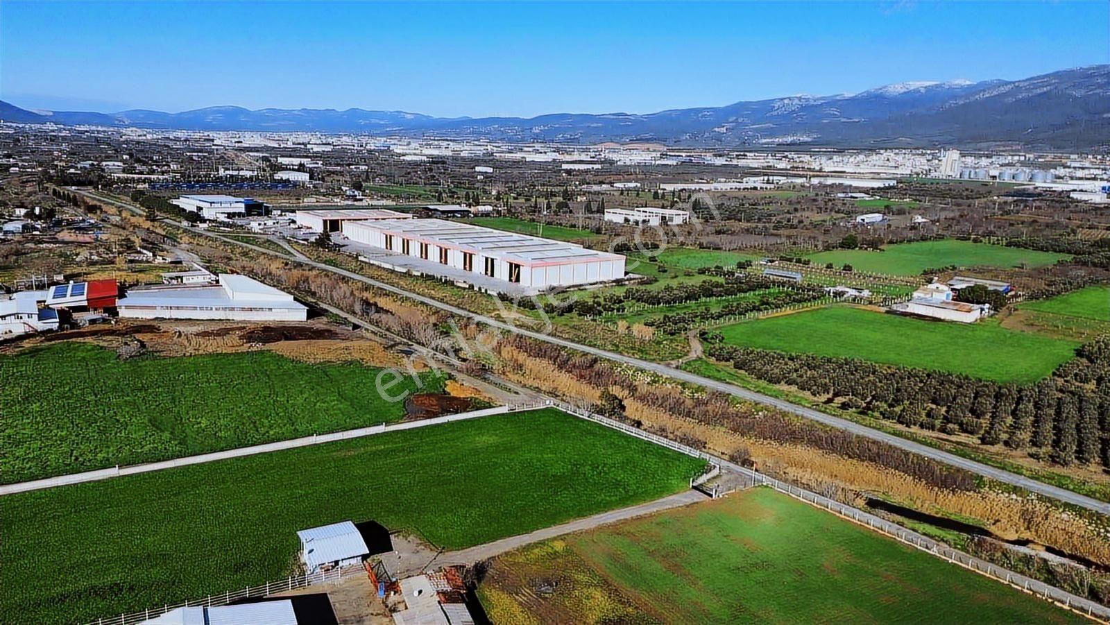 Kemalpaşa Merkez Dsi Yakını Satılık 10042 M2 Arazi - Görsel 20