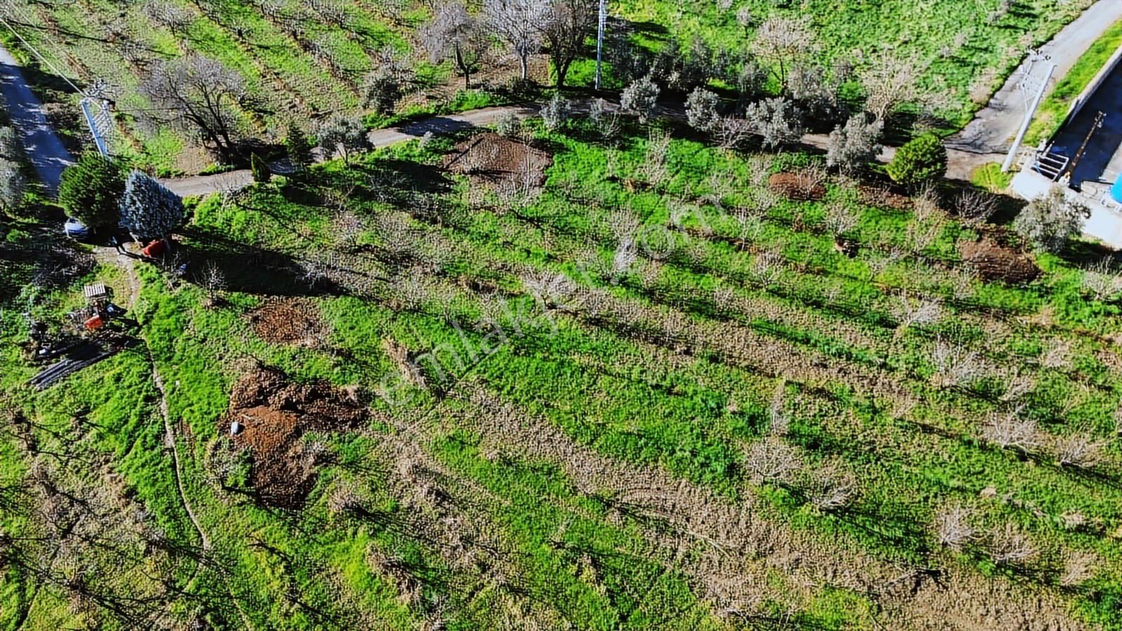 Kemalpaşa Merkez Dsi Yakını Satılık 10042 M2 Arazi - Görsel 7