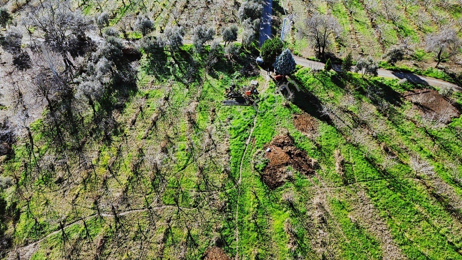 Kemalpaşa Merkez Dsi Yakını Satılık 10042 M2 Arazi - Görsel 19