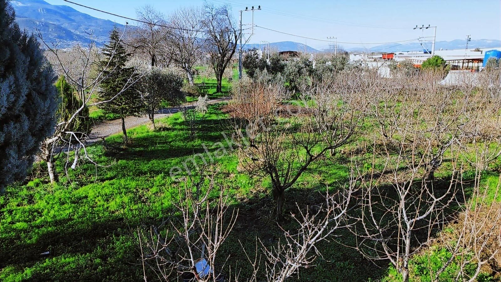 Kemalpaşa Merkez Dsi Yakını Satılık 10042 M2 Arazi - Görsel 5