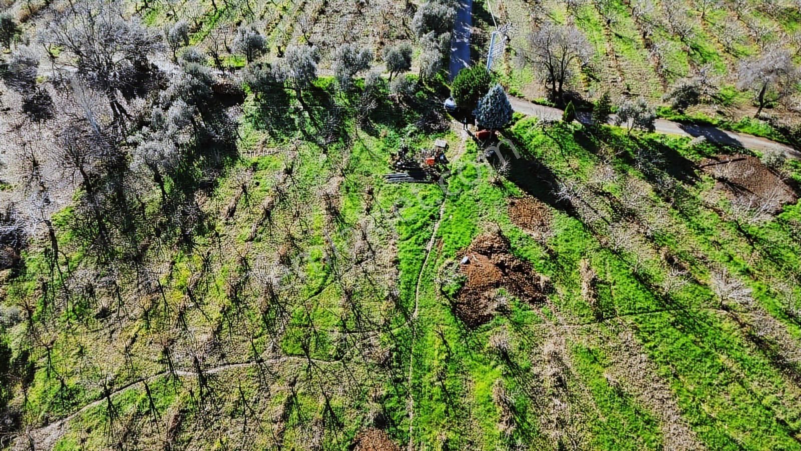 Kemalpaşa Merkez Dsi Yakını Satılık 10042 M2 Arazi - Görsel 21