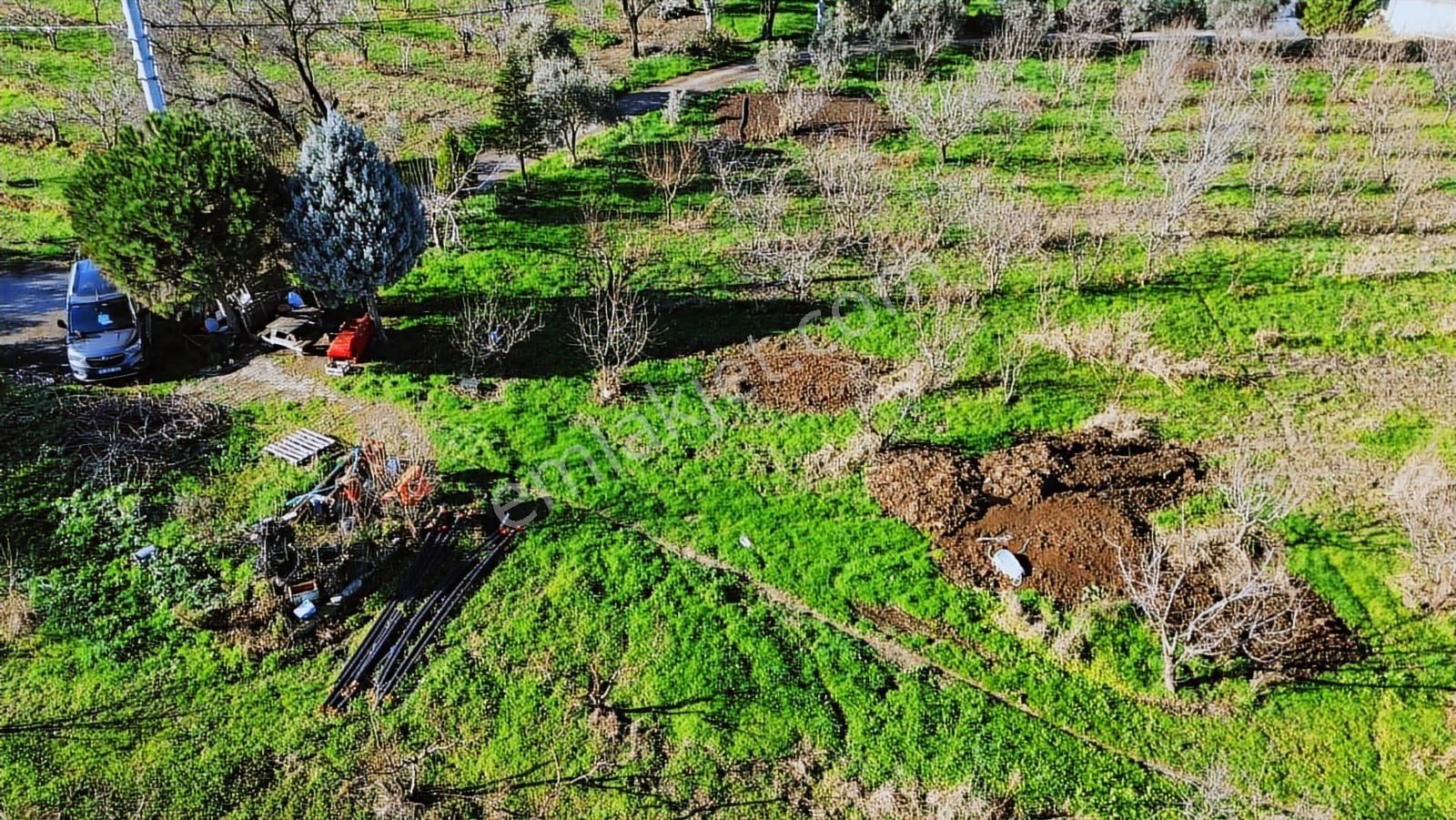Kemalpaşa Merkez Dsi Yakını Satılık 10042 M2 Arazi - Görsel 6