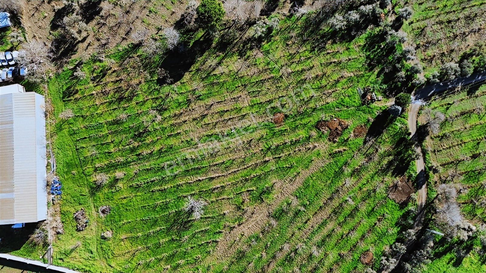 Kemalpaşa Merkez Dsi Yakını Satılık 10042 M2 Arazi - Görsel 11