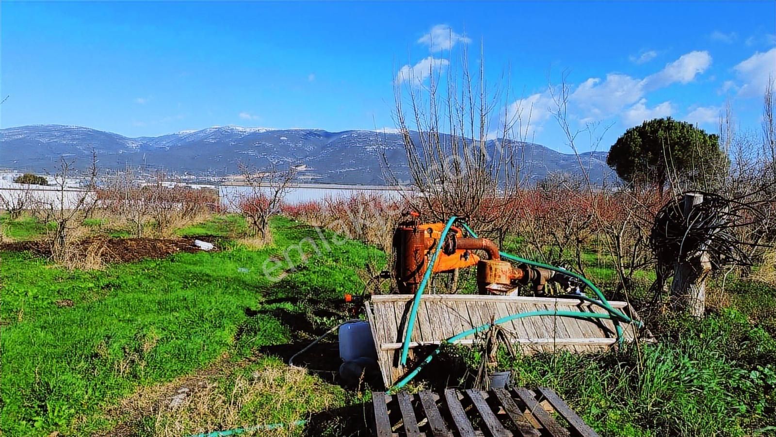 Kemalpaşa Merkez Dsi Yakını Satılık 10042 M2 Arazi - Görsel 18
