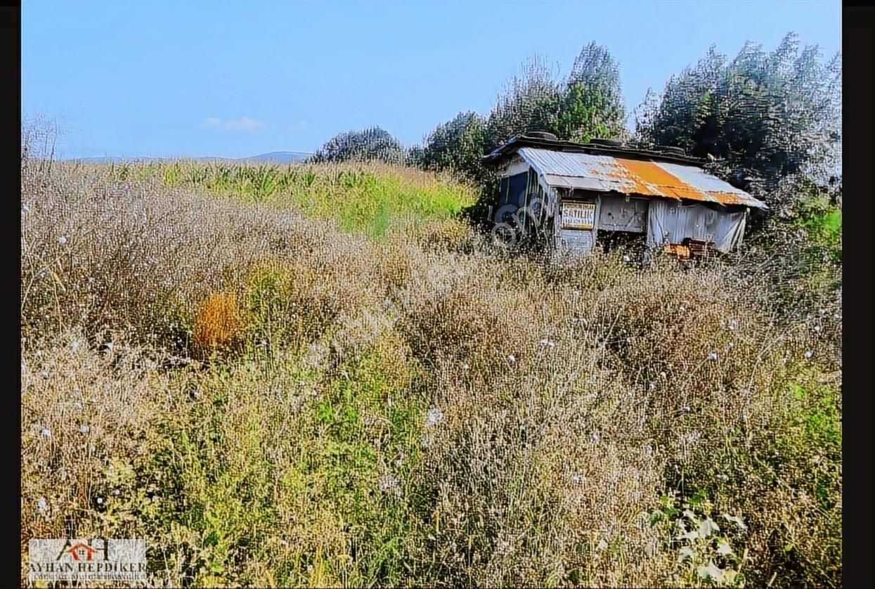 Söğütlü De Yol Cepheli Yatırımlık Veya Hobi Bahçesi 770 M2tarla
