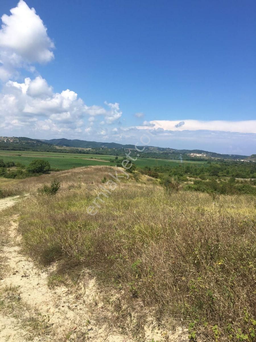 İstanbul Şile Bucaklı'da Yatırımlık Tarla - Görsel 2