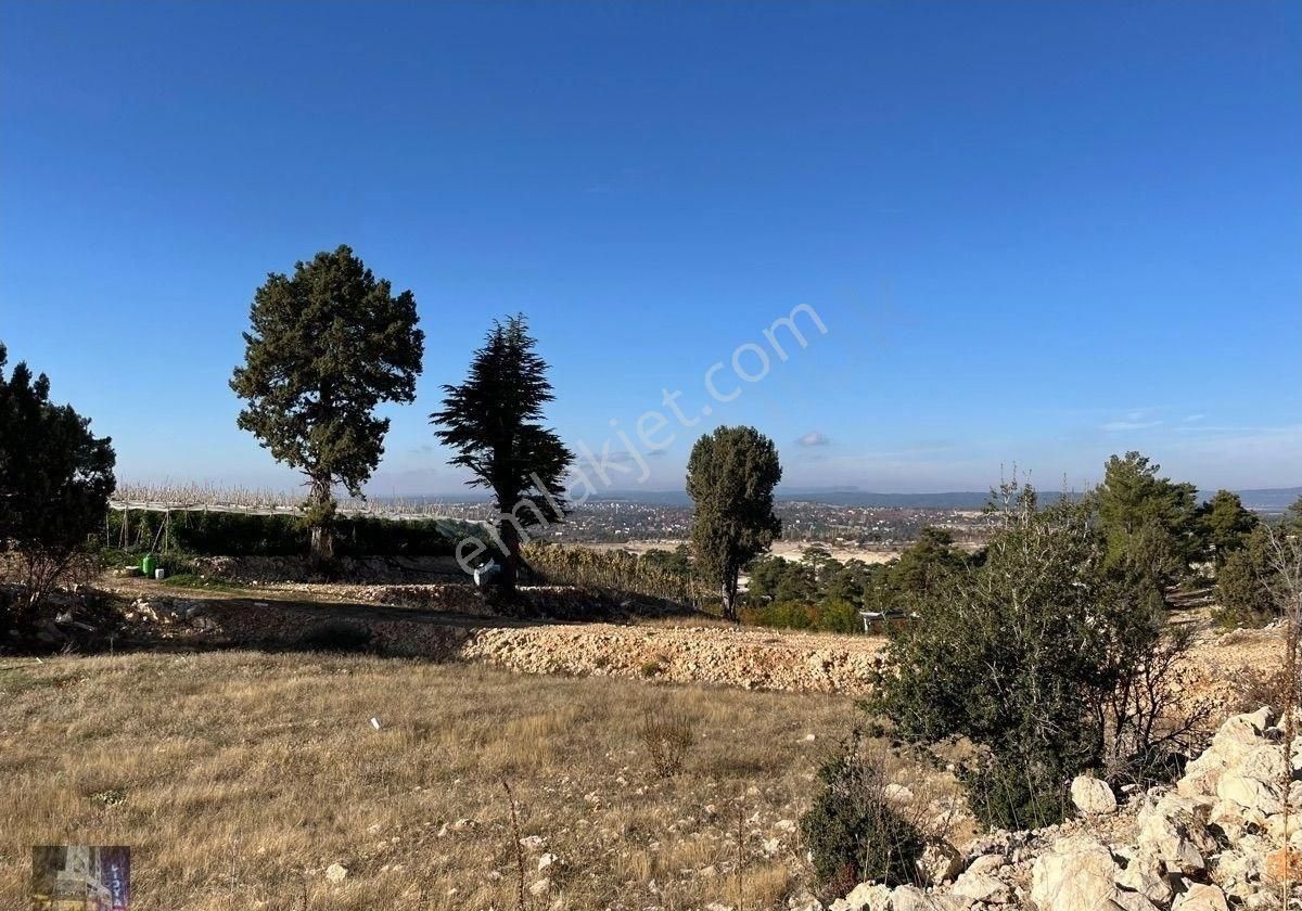 Avgadı’ya 2 Km Mesafede Satılık Tarla