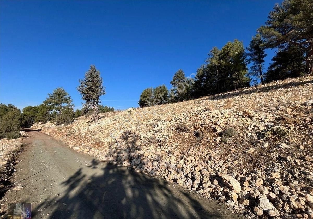 Avgadı’ya 2 Km Mesafede Satılık Tarla - Görsel 11