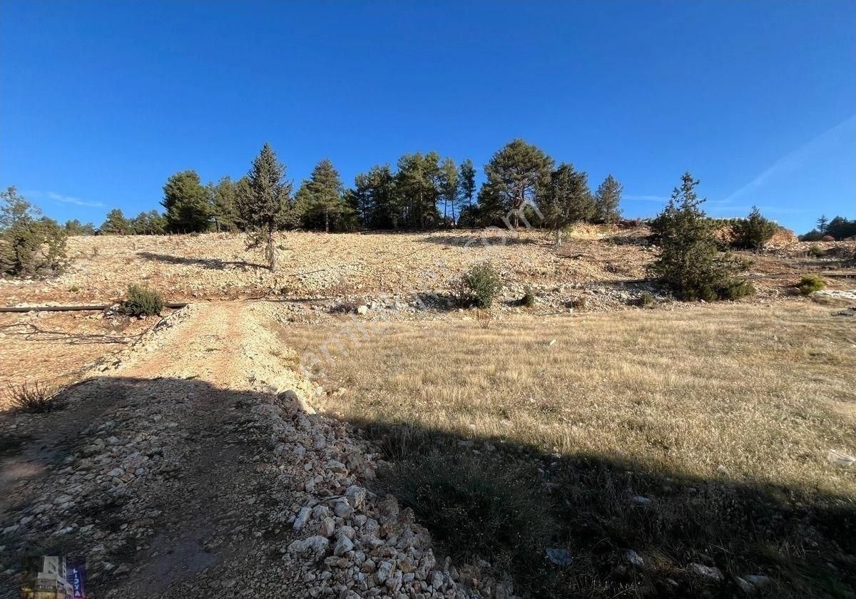 Avgadı’ya 2 Km Mesafede Satılık Tarla - Görsel 10