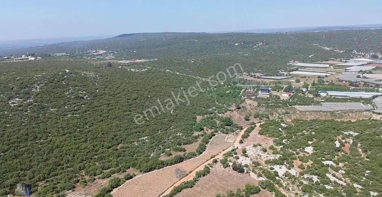 Esenpınar Merkezde Bulunan 2.946 M2 Satılık Tarla - Görsel 3