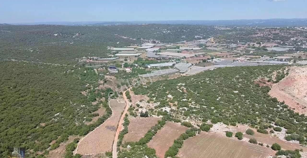 Esenpınar Merkezde Bulunan 2.946 M2 Satılık Tarla