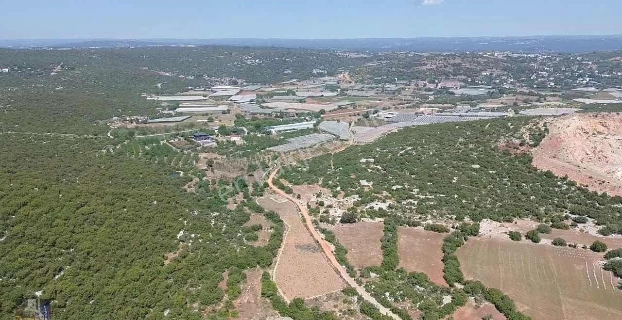 Esenpınar Merkezde Bulunan 2.946 M2 Satılık Tarla - Görsel 9