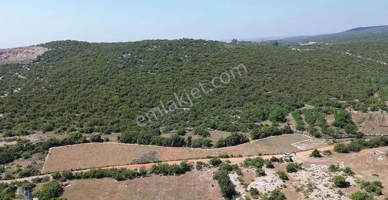 Esenpınar Merkezde Bulunan 2.946 M2 Satılık Tarla - Görsel 6